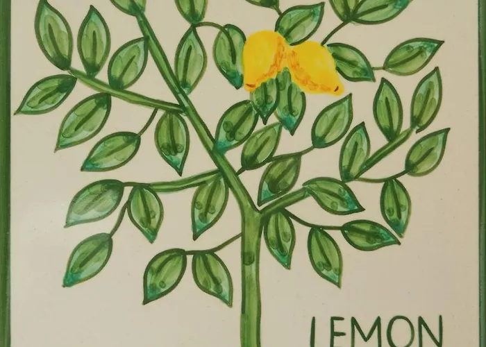 Casa Monte Cristo Apartments - Lemon