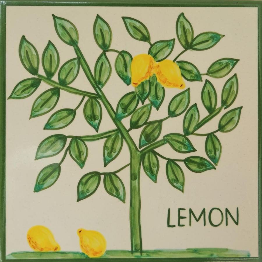Cristo - Lemon Apartment Lagos